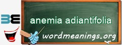 WordMeaning blackboard for anemia adiantifolia